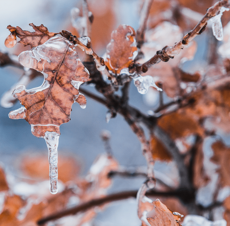 How I Stay Upbeat with Seasonal Affective Disorder